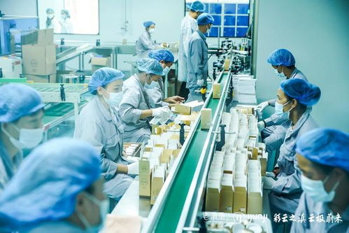 老滇凰云極工廠 以信息技術(shù)咨詢服務(wù)為引擎，驅(qū)動(dòng)云南蜂業(yè)現(xiàn)代化轉(zhuǎn)型