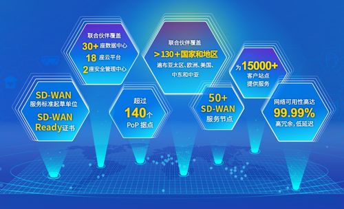 中企通信SD-WAN 一種創(chuàng)新的計(jì)算機(jī)信息技術(shù)咨詢服務(wù)