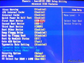 雙臺子區專業電腦維護與信息技術咨詢服務指南